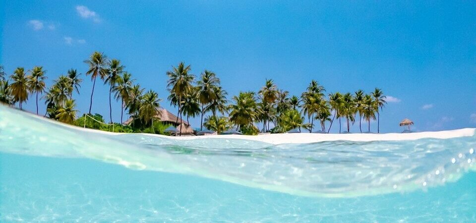 Moving From Hawaii To The Mainland